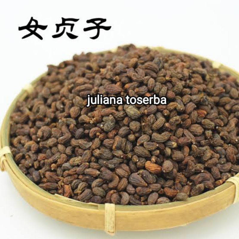 

Biji Nu Zhen Zi 女真子 Fructus Liqustri Seed 50 gram