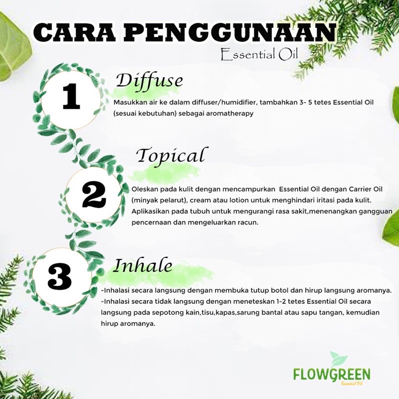 Eucalyptus Essential Oil Flowgreen Diffuser Humidifier - Minyak Essential Aromaterapi