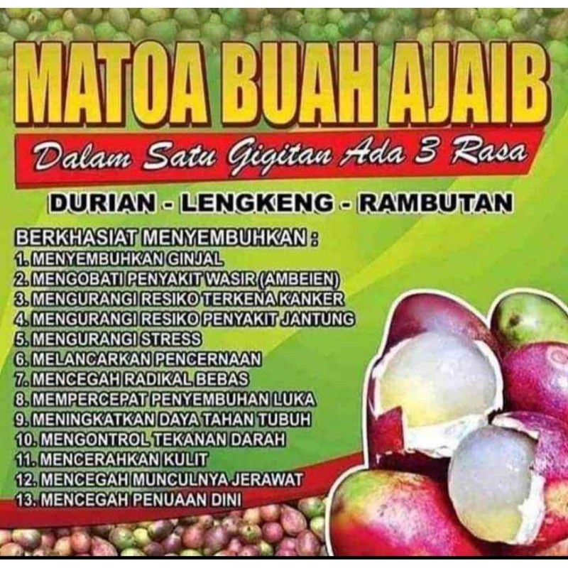Buah matoa 3 rasa durian, rasa lengkeng,rasa rambutan