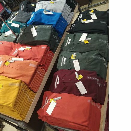 Cole basic polo shirt Original 100%