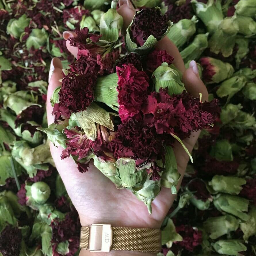 

Red Carnation Tea sachet 100gr