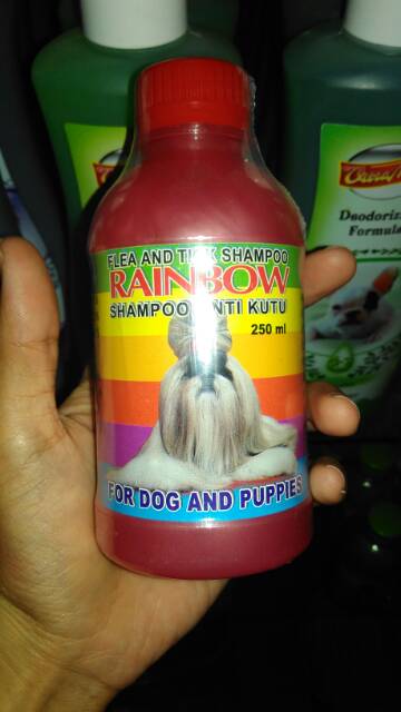 Shampoo anti kutu kucing RAINBOW