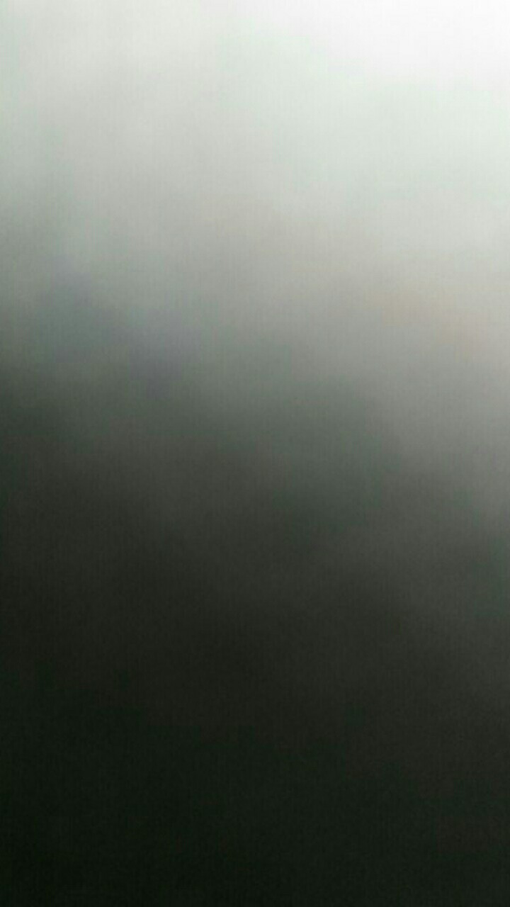 Wallpaper Premium Papan Kayu Kuning 10meter X 45cm Wallpapaer 10meter X 45cm Wallpaper Dinding Stick