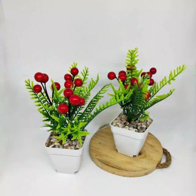 Sakura Pot Plastik D 10cm