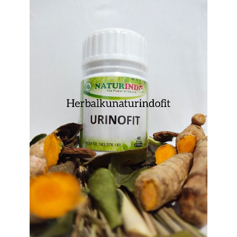 Vitamin Herbal Naturindo URINOFIT -Spesial Ginjal