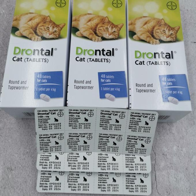 Jual Promo Drontal Cat / Obat Cacing Kucing Drontal Per Box Isi 48 ...