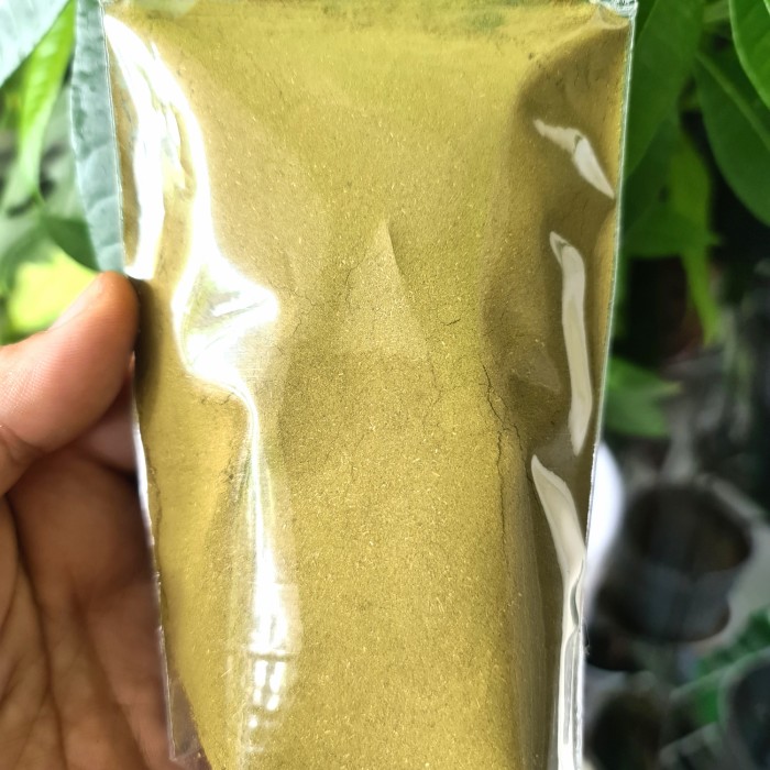 

Bubuk Daum Sirsak 100gr Original Tanpa Campuran