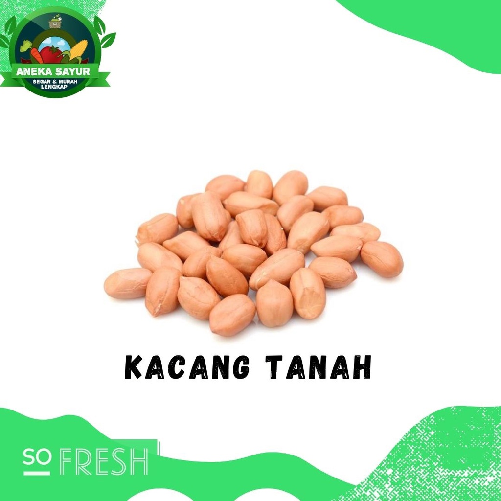 

Kacang Tanah