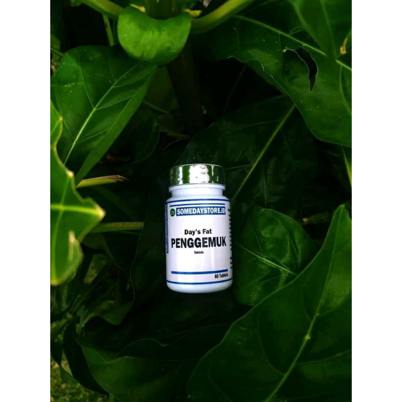 penggemuk dan pelangsing somedaybstore.id