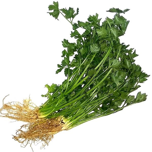 

Daun Saledri - Niawan Mart