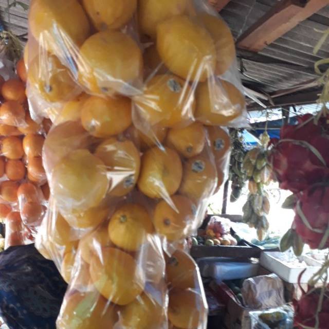 

Lemon segar