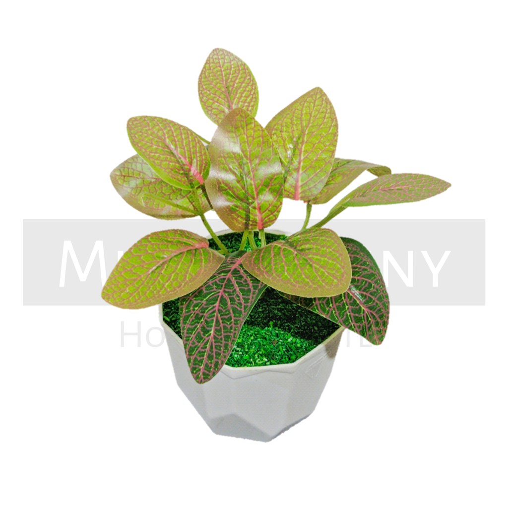 TANAMAN BUNGA ARTIFICIAL BUNGA HIAS DEKORASI HIASAN RUMAH BUNGA PLASTIK MURAH BUNGA AGLONEMA MINI-KD-005