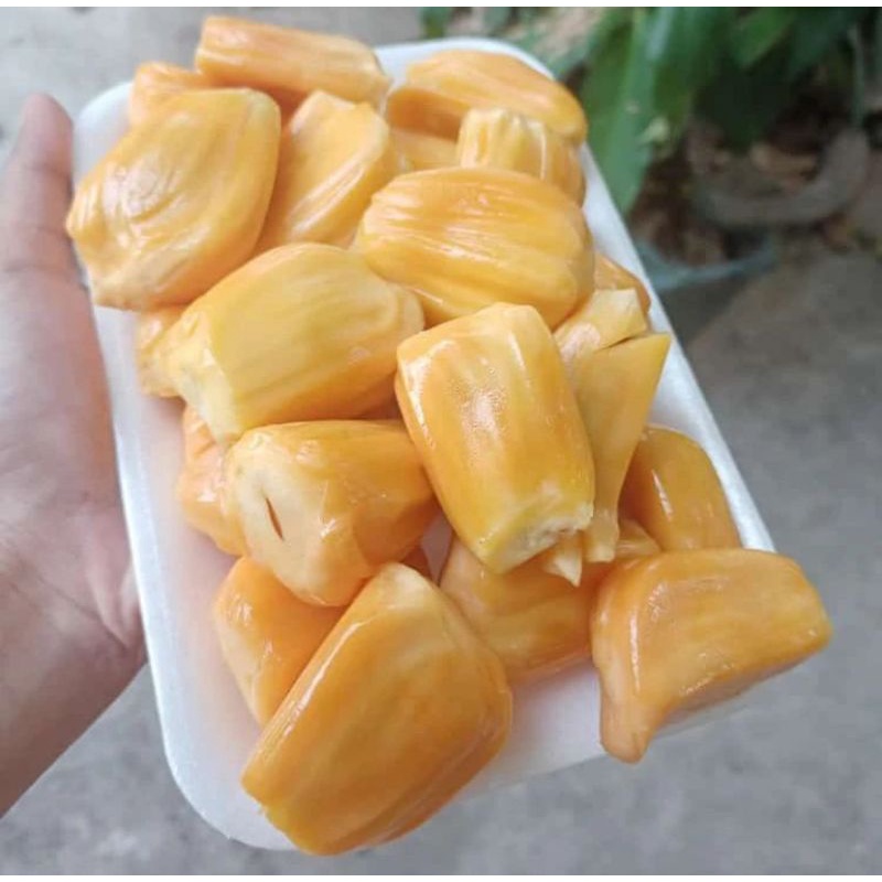 

BUAH NANGKA KUPAS FRESH DAN MANIS