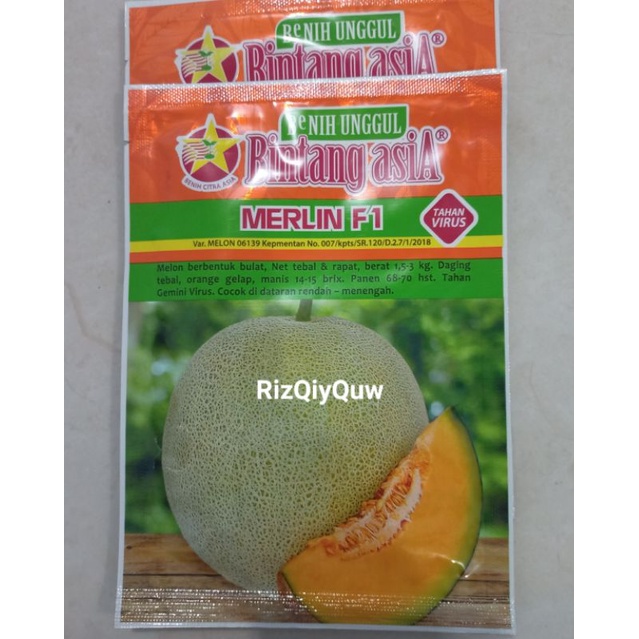Merlin f1 (Benih Melon) 20grm