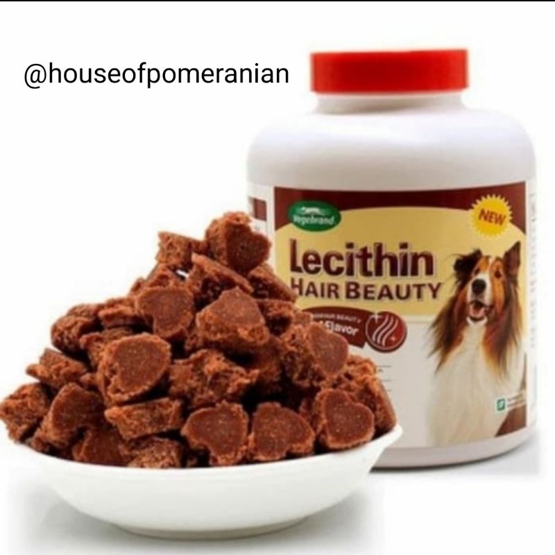 LECITHIN HAIR BEAUTY 450gr vitamin bulu anjing kilau tidak rontok vegebrand