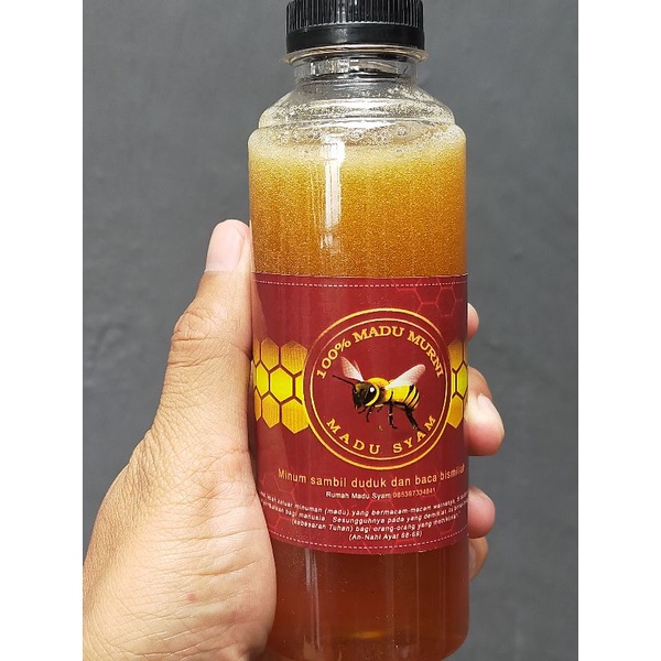 

Madu Hutan Asli Sulawesi