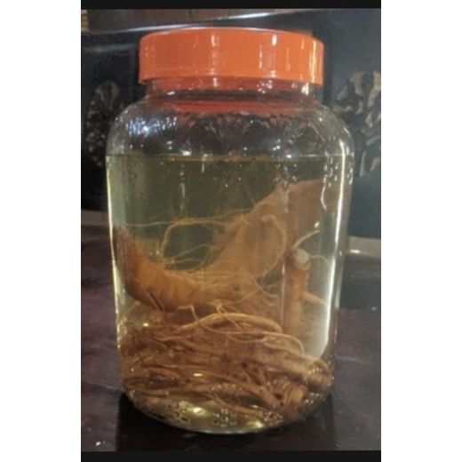

minuman rendaman gingseng korea