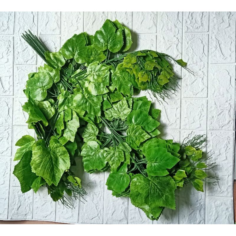 

daun anggur