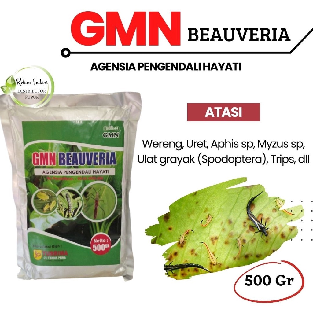 Obat Hama Wereng Tanaman Padi, Pembasmi Serangga Hama Tanaman Padi