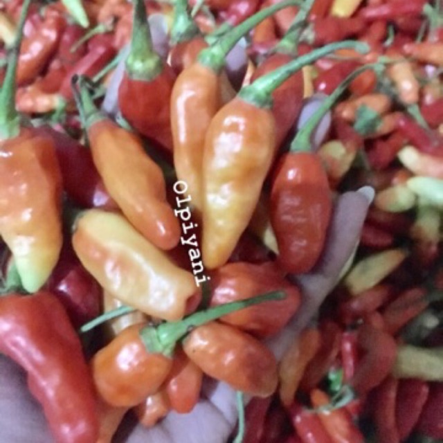 Cabe Rawit Merah 250g