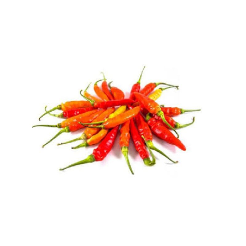 

Cabe / Cengek Domba - Bakul Sayur Bandung