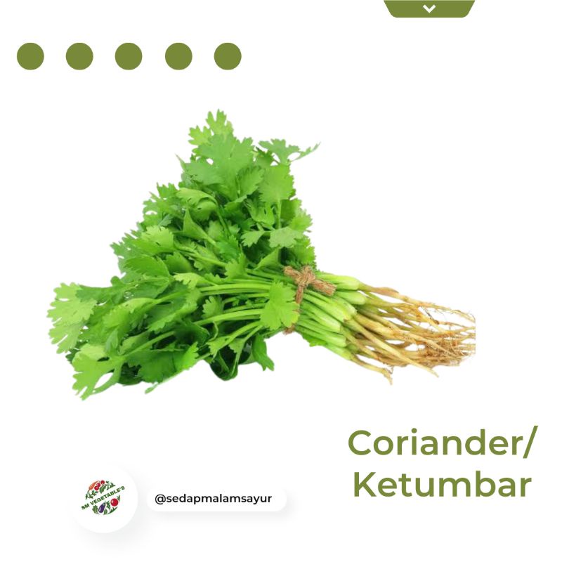 

SAYUR SEGAR-Daun ketumbar/Coriander / cilantro / herbs 250GR