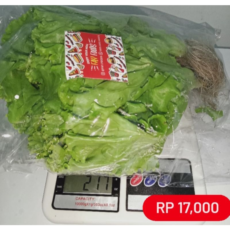 Jual Selada Hidroponik 200 Gr Indonesia Shopee Indonesia