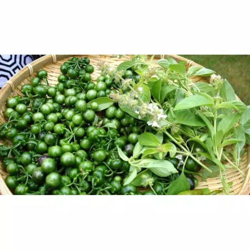 

KangSayur - Sayuran Segar LENCA / Buah LEUNCA 100 Gram
