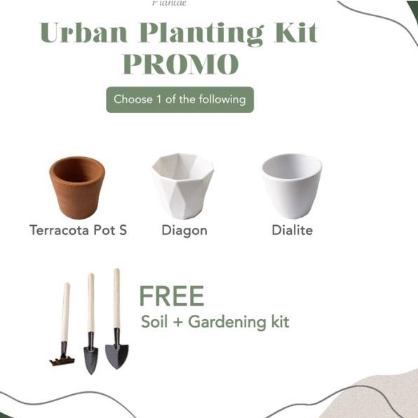 

➾ Create Your Own Koeshi Plantae Plant Kit ♪