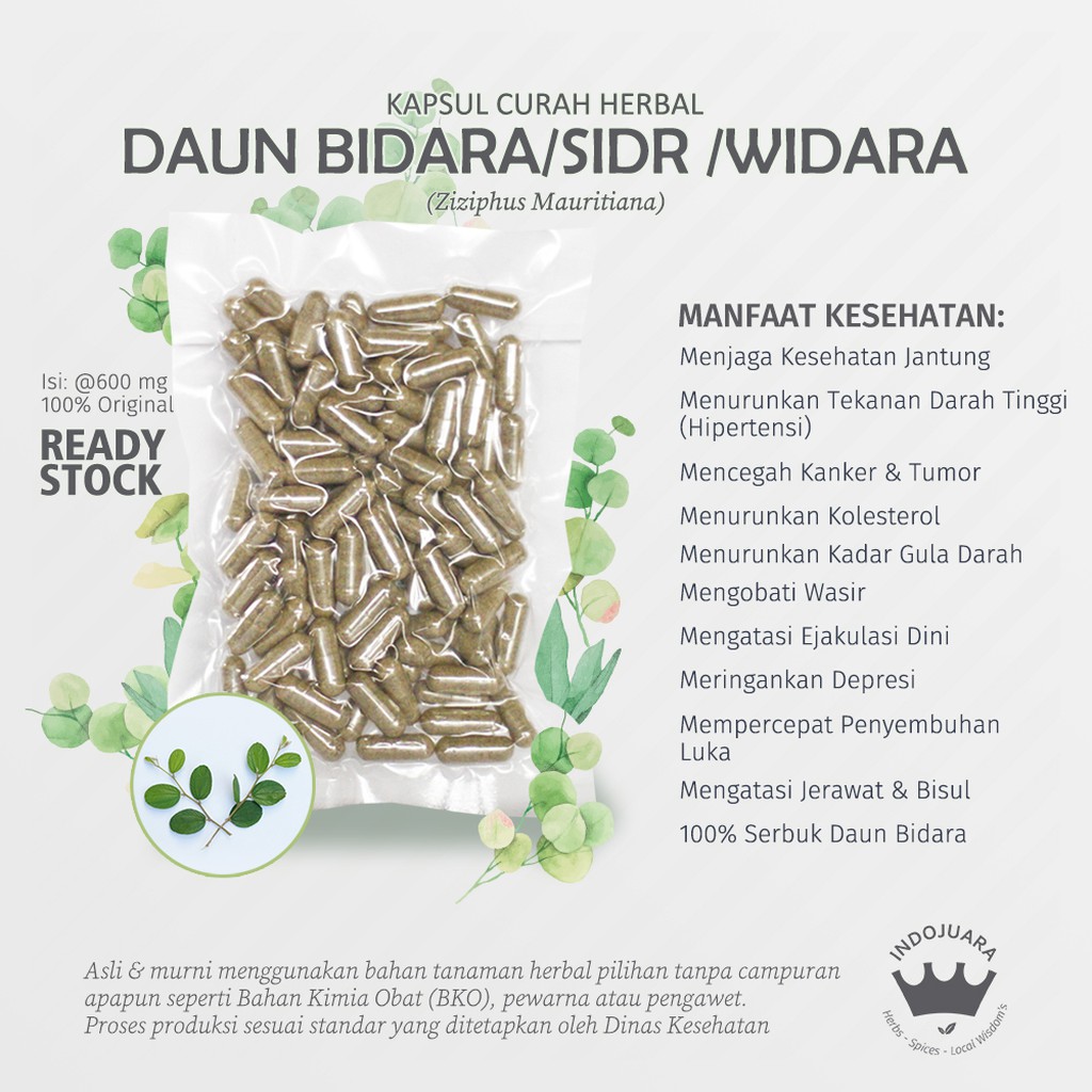 

DAUN BIDARA 100 Kapsul Curah Herbal Jerawat Kolesterol Tumor Wasir Bisul Insomnia Keputihan 600mg
