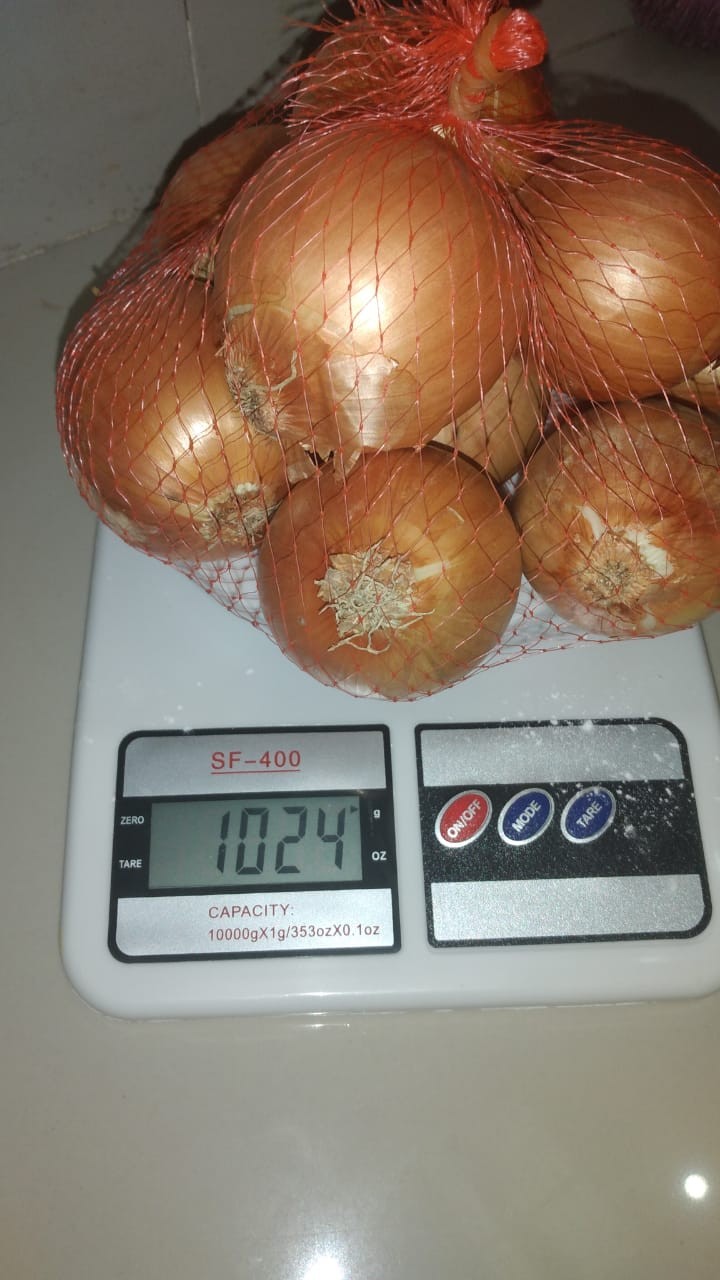 Bawang Bombai/bombay Fresh