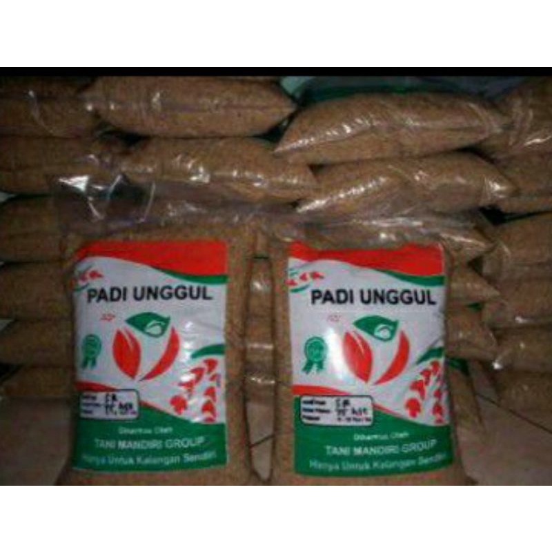 Benih padi Genjah SR (TERBARU)