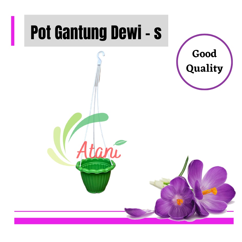 Pot Gantung Dewi S Hijau Pot Gantung Pot Bunga Gantung Murah Hijau 20