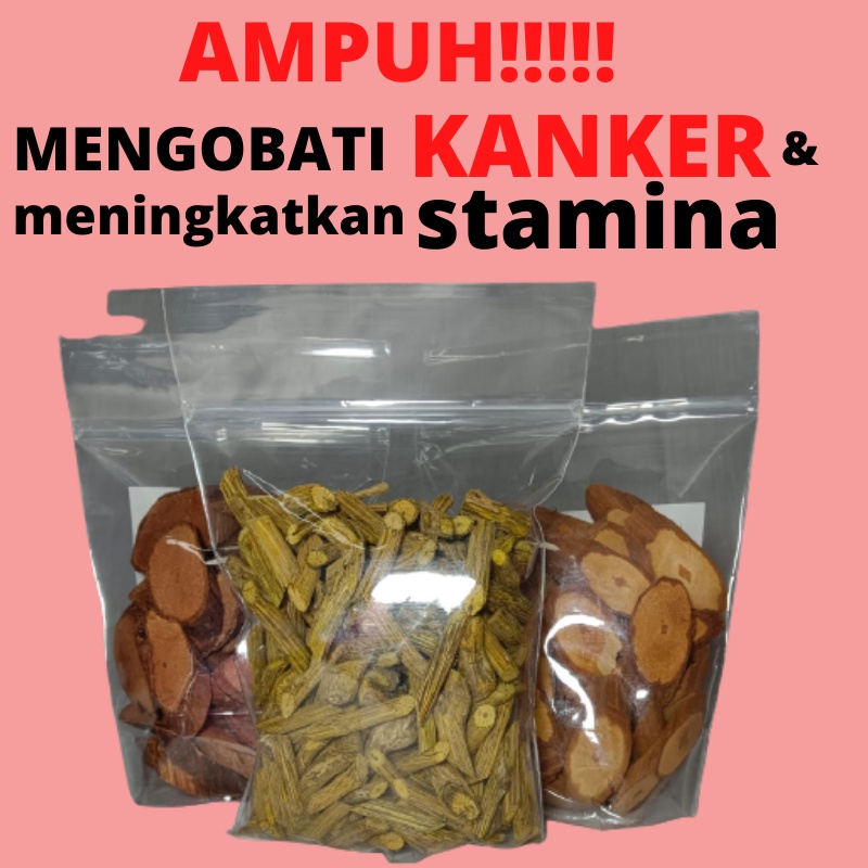 BAJAKAH TAMPALA MERAH SUPER (Jika Palsu Uang Kembali) ASLI KALIMANTAN KAYU AKAR BAJAKAH OBAT KANKER