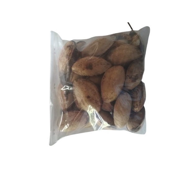 

Biji ketapangg kering 20 biji