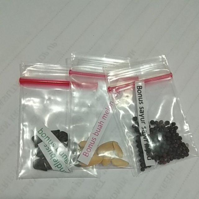 Biji/benih/bibit Buah Tomat Tycoon (10 Biji)