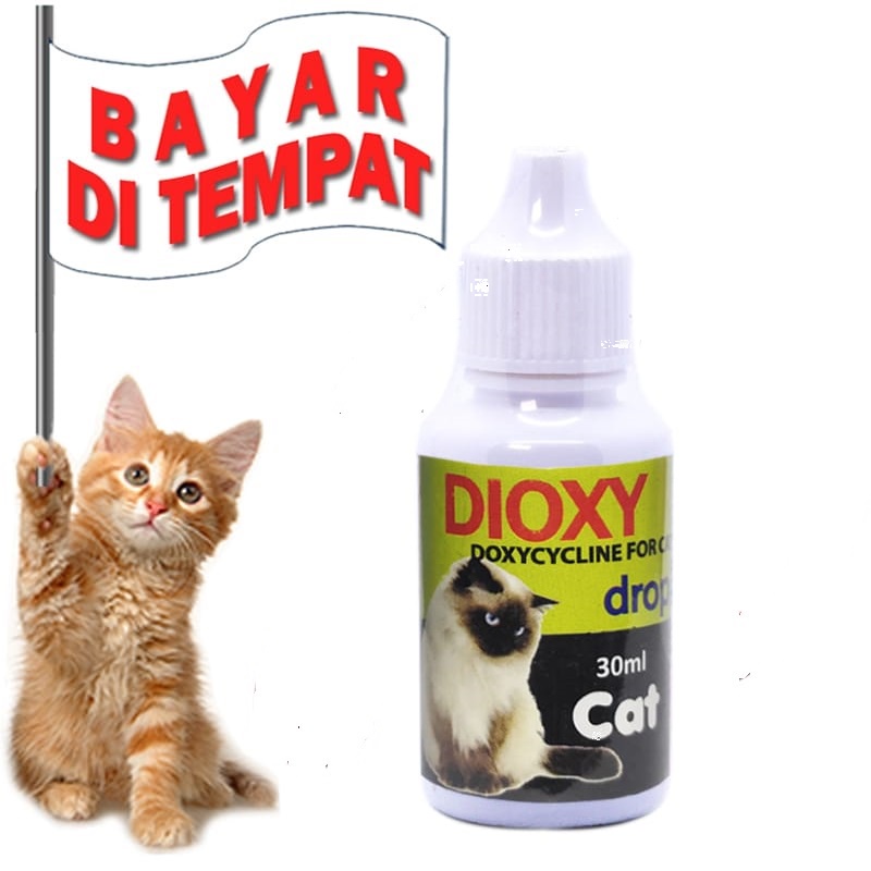 OBAT ANTIBIOTIK KUCING TERMURAH DIOXY DROP OBAT KUCING SAKIT DEMAM FLU PILEK DIARE MUNTAH