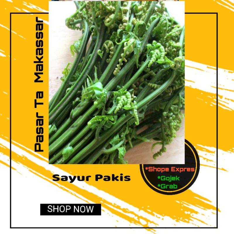 

Sayur Pakis Perikat kecil / Pasar Sayur Makassar