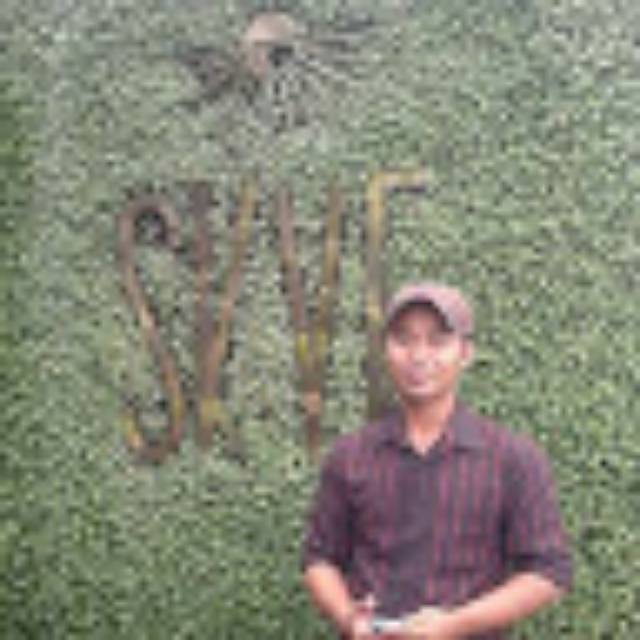wisnu.wardanwar