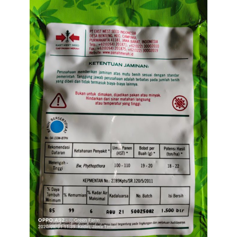 cabe pilar 1500 butir original kemasan pabrik
