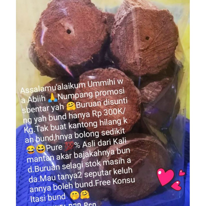 AKAR BAJAKAH 100%asli Kalimantan