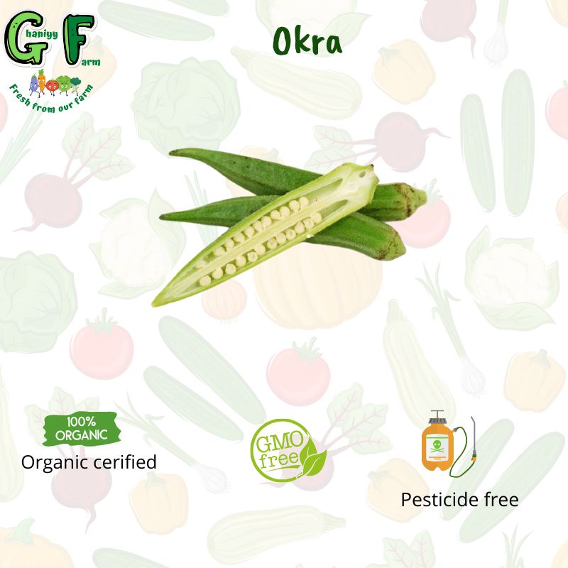 

Sayur Organik Bersertifikat - Okra Organik 250 Gram