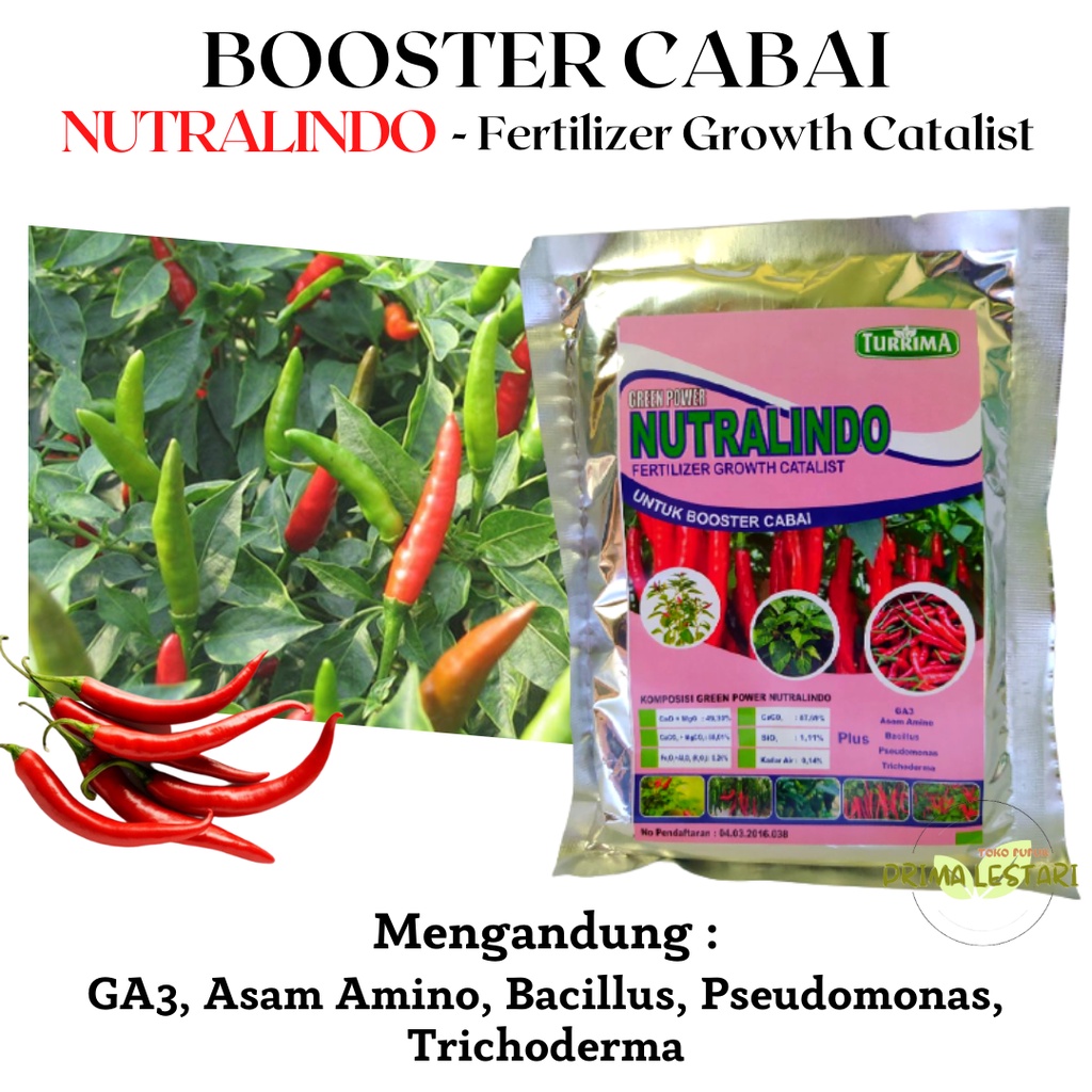 Pupuk Perangsang Buah Cabai, Pupuk Cabe Rawit Lebat, Pupuk Booster Cabe Anti Rontok Keriting, Booste