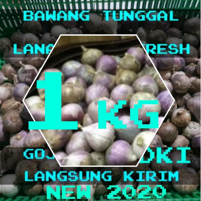 

Spesial Promo - Bawang Putih Tunggal / Bawang Lanang 1000 Gram