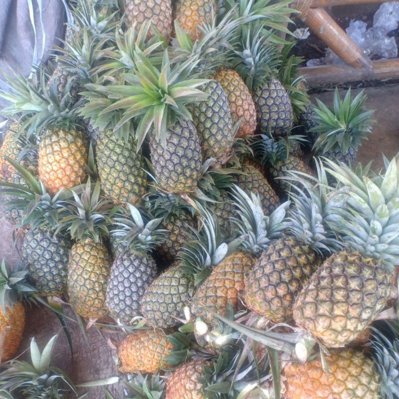 

Area Medan// MoMo Nenas SaribuDolok// Per Pcs// 1 Pcs (1-5 Kg)// 20000