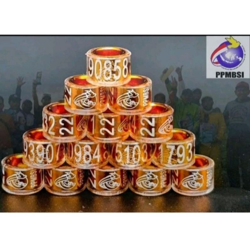 Ring merpati balap 2022