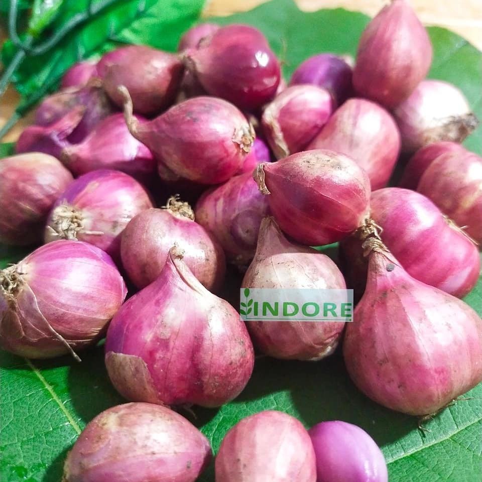 

BAWANG MERAH / BRAMBANG 1 KG