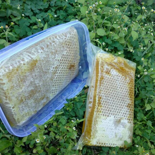 

SARANG MADU MELLIFERA 250 gram