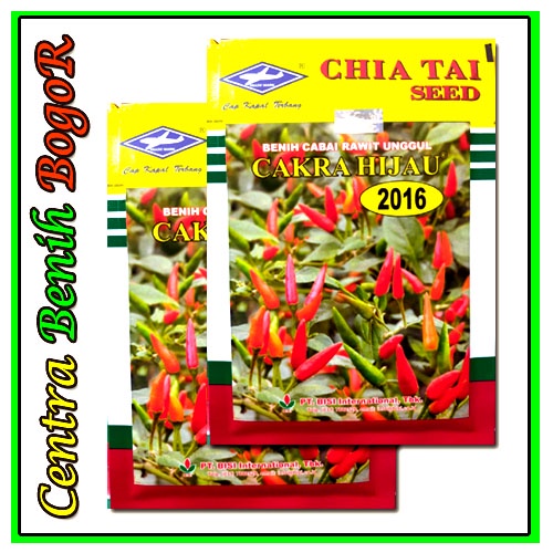 ISI 10GR - BENIH CABE RAWIT HIJAU UNGGUL CAKRA HIJAU - BIBIT CABE RAWIT | BENIH CABAI RAWIT