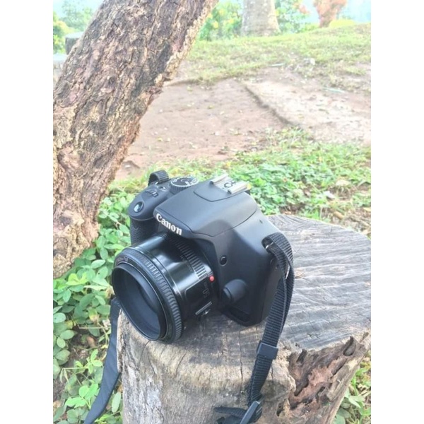 Camera Canon second murah lengkap